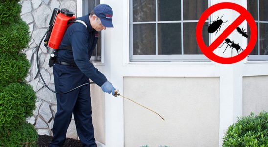 Suluova Böcek İlaçlama böcek ilaçlama ve haşere kontrolü — ilaclama-tr.com
